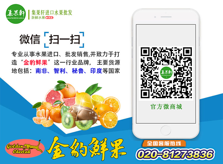 南非绿萌