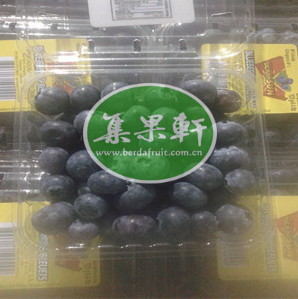 集果轩进口蓝莓