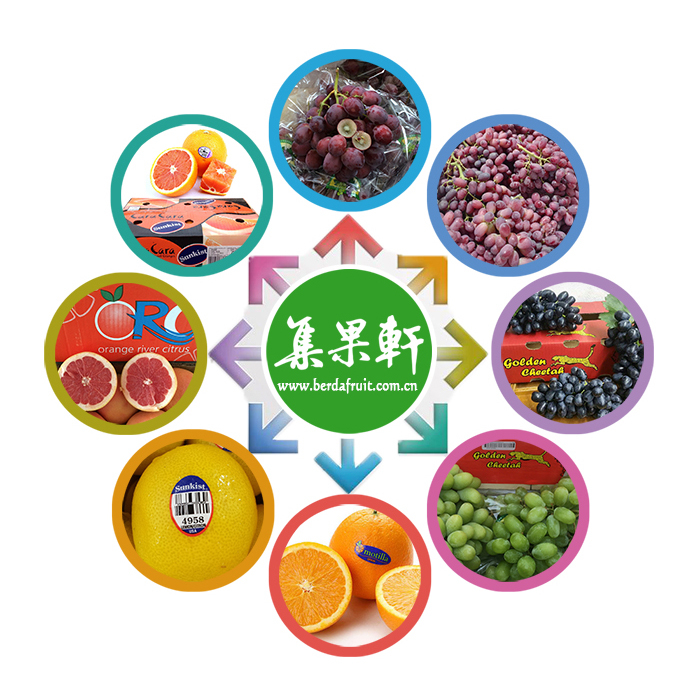 集果轩水果批发品种展示