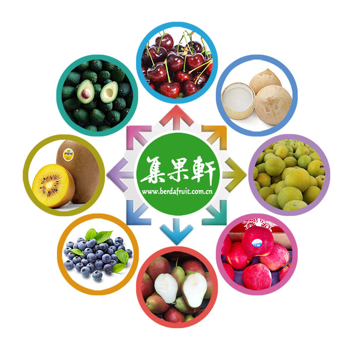 集果轩水果批发品种展示