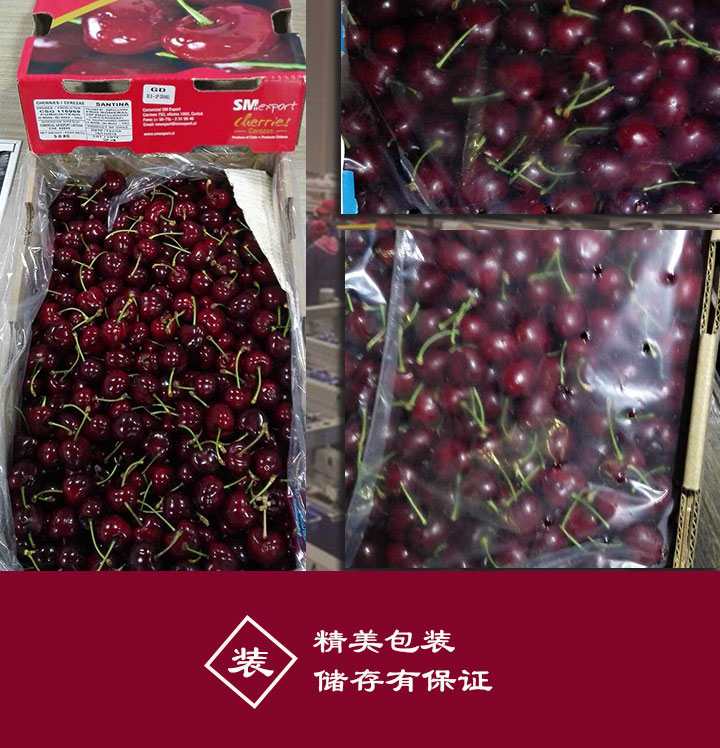 智利进口车厘子批发santina品种 | 5公斤jjd规格