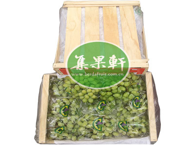 智利无籽青提