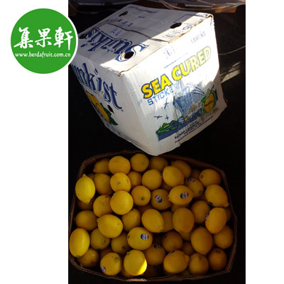 美国新奇士柠檬