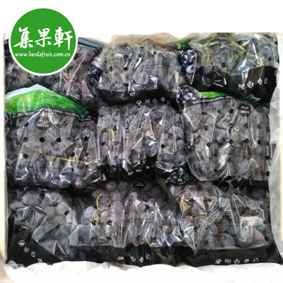 智利无籽黑提甜十三
