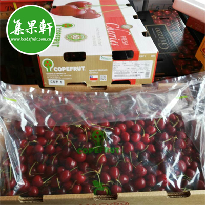 智利COPEFRUT牌车厘子