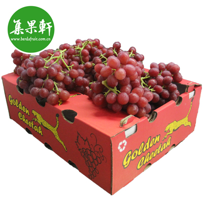 南非金豹无籽红提Ralli