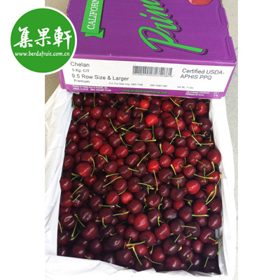 美国车厘子