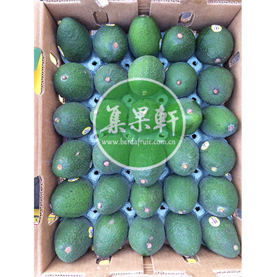 智利牛油果