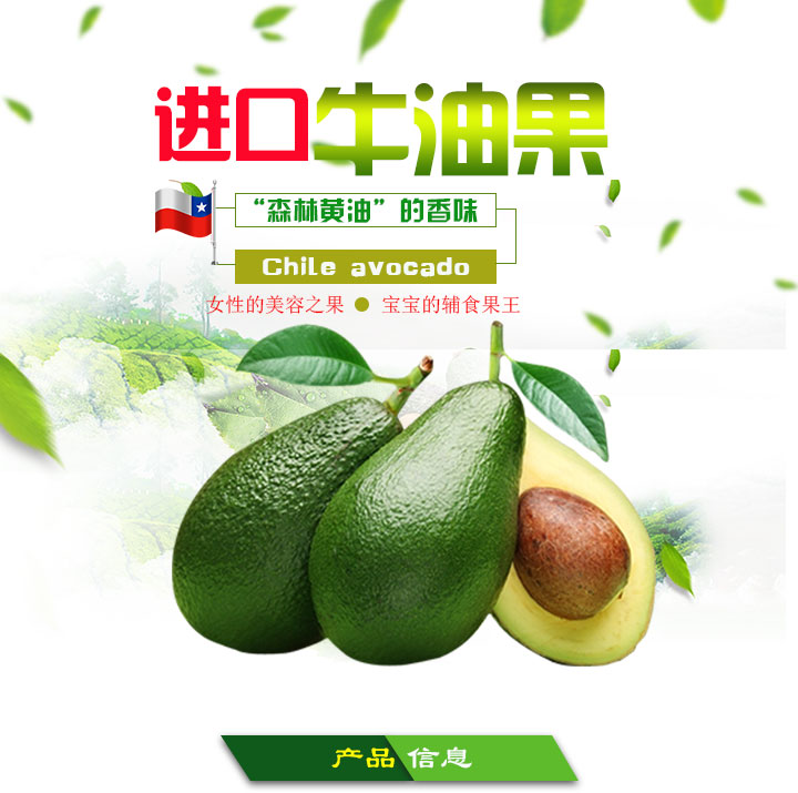 进口水果批发集果轩