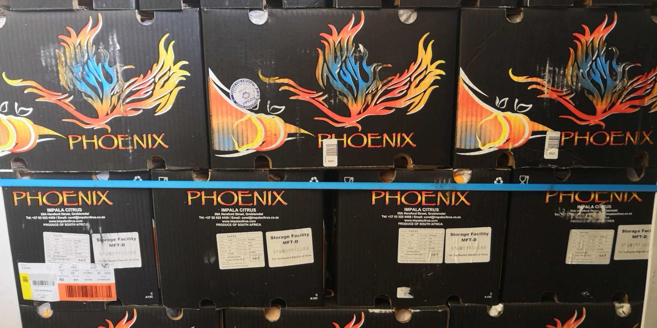 Phoenix牌