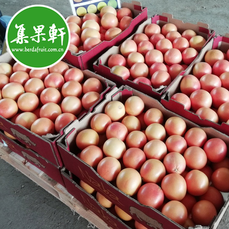 Naba犀牛牌南非西柚