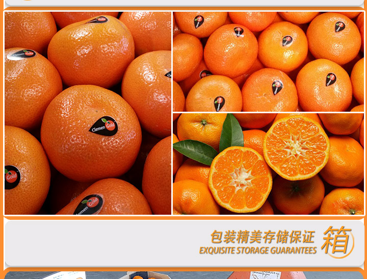 南非进口clemengold柑橘规格1