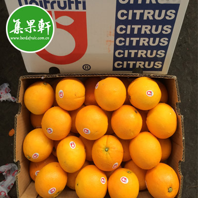 南非进口水果批发Unifrutti钥匙扣牌晚熟脐橙 南非进口水果批发Unifrutti钥匙扣牌晚熟脐橙