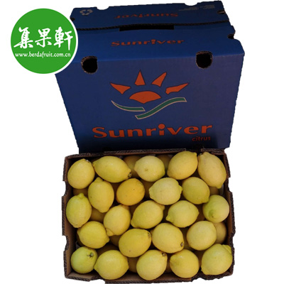 进口水果批发货源Sunriver太阳河牌南非进口尤力克黄柠檬 进口水果批发货源Sunriver太阳河牌南非进口尤力克黄柠檬