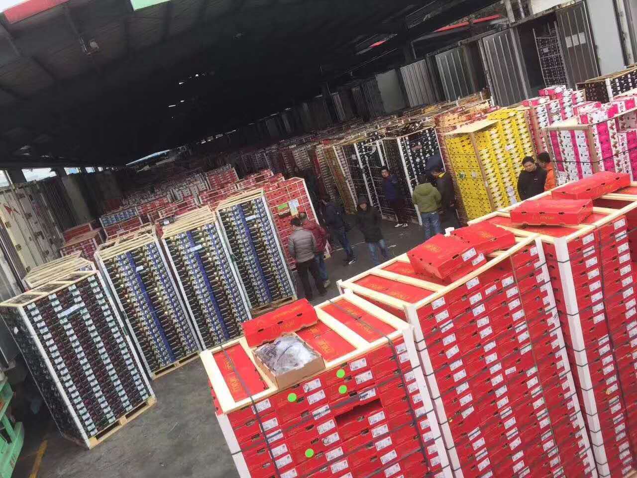 广州江南进口水果批发市场的国内数一数二的智利车厘子大卖场
