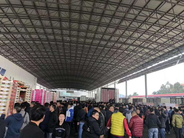 广州江南市场智利车厘子季开柜