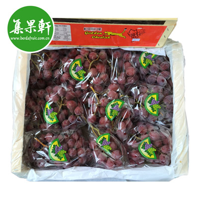 金豹鲜果智利进口红地球葡萄Red Globe红提批发货源 金豹鲜果智利进口红地球葡萄Red Globe红提批发货源