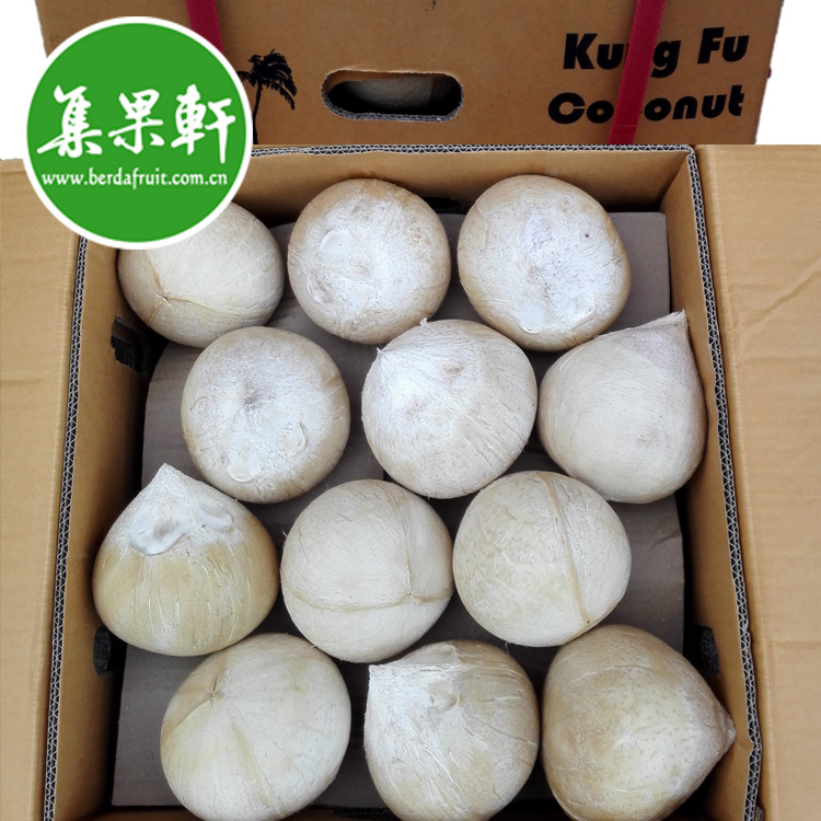 进口水果批发货源供应泰国功夫牌椰皇Kung Fu 进口水果批发货源供应泰国功夫牌椰皇Kung Fu