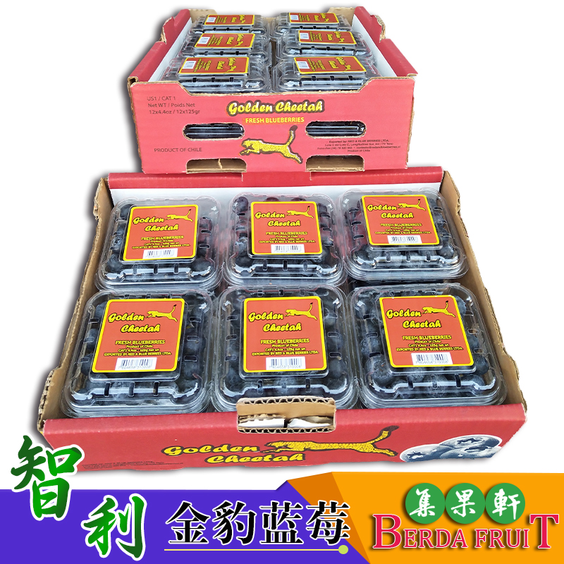 金豹鲜果智利进口蓝莓原装12盒进口水果批发货源 金豹鲜果智利进口蓝莓原装12盒进口水果批发货源