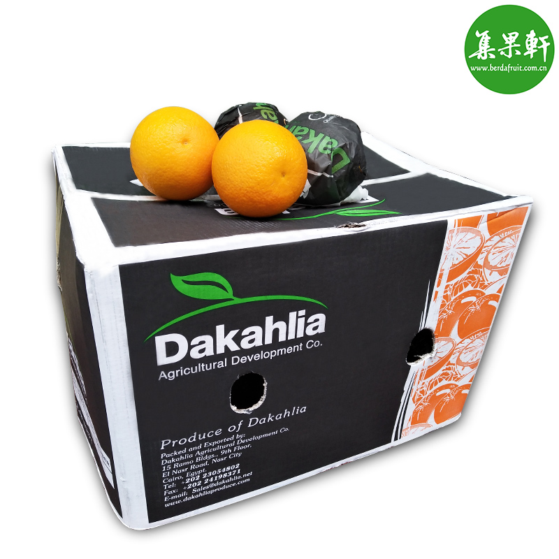 埃及打卡酸橙Dakahlia牌进口夏橙 埃及打卡酸橙Dakahlia牌进口夏橙
