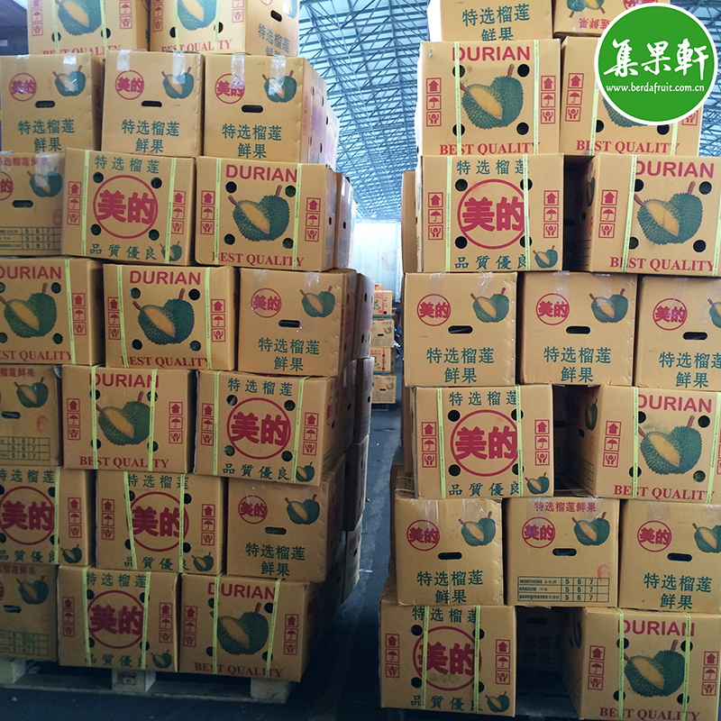 进口水果泰国榴莲美的特选榴莲批发货源 进口水果泰国榴莲美的特选榴莲批发货源