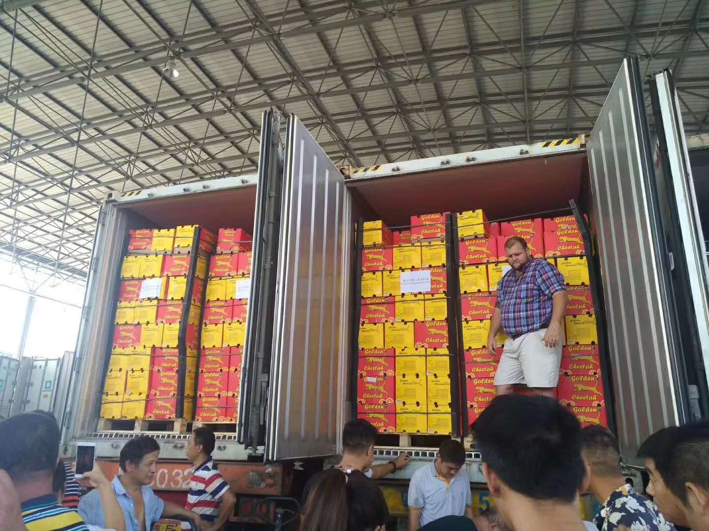 Golden Cheetah金豹鲜果在国内批发市场受到热捧