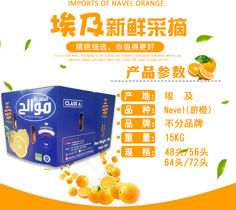 埃及脐橙产品参数
