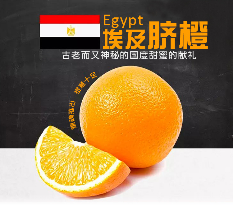埃及脐橙Egyptian Navel Orange