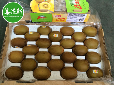 新西兰黄金奇异果批发货源
