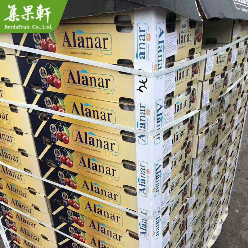 土耳其大樱桃批发货源