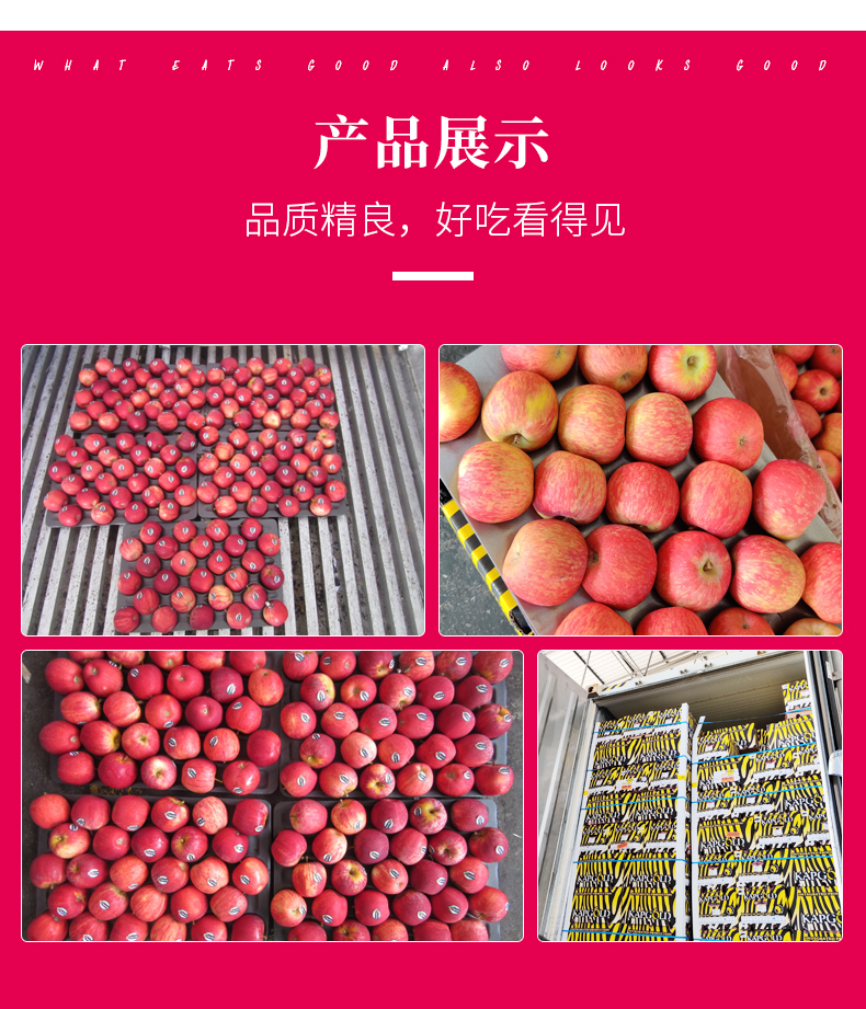 南非富士苹果批发