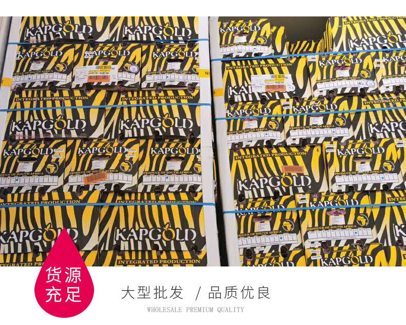 南非进口富士苹果批发