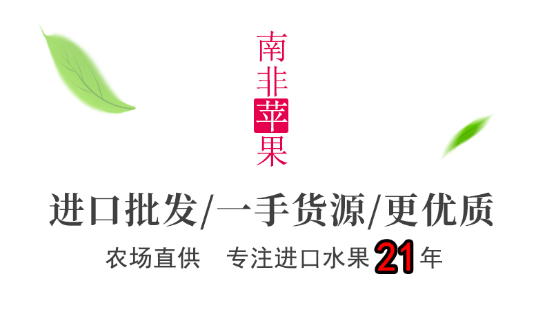 南非进口富士苹果货源