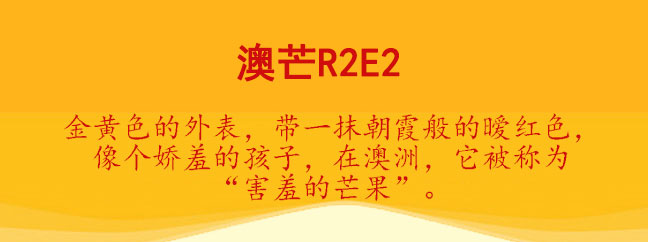 澳洲彩色芒果R2E2