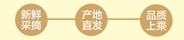 澳芒-新鲜采摘-产地直发-品质上乘