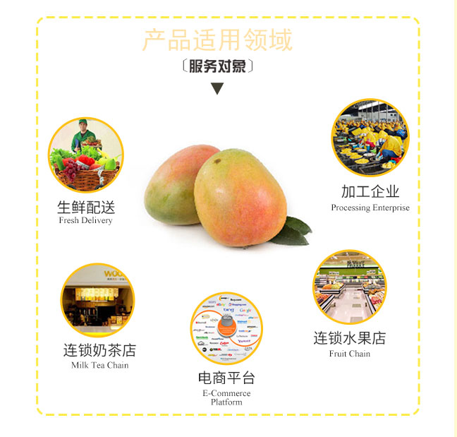 澳芒-产品适用领域（服务对象）