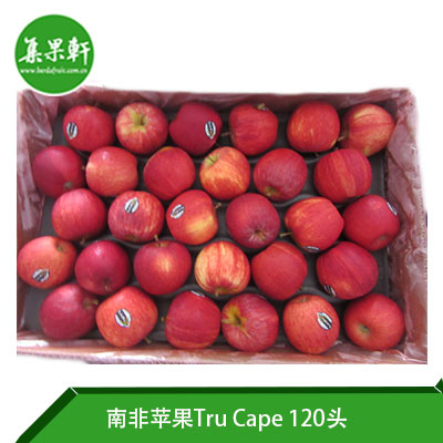 南非Tru Cape苹果120头