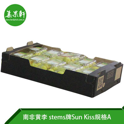 南非进口黄李Sun Kiss品种 | stems牌5公斤A规格