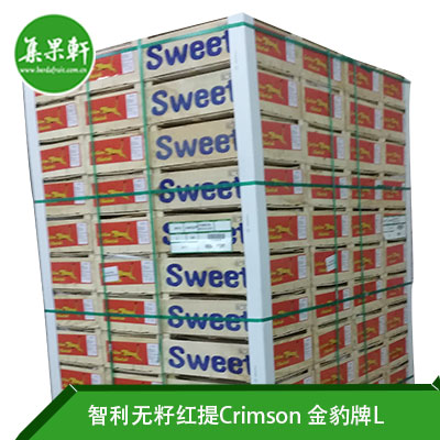 智利进口无籽红提Crimson品种 | 金豹牌4.5公斤L规格