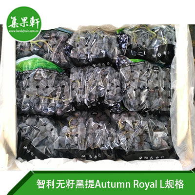 智利无籽黑提Autumn Royal L