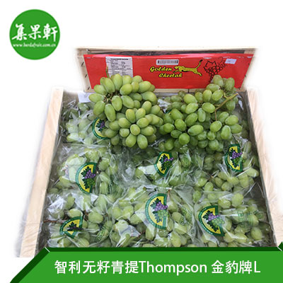 智利进口无籽青提Thompson | 金豹牌L规格