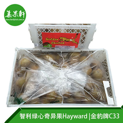 智利进口绿心奇异果Hayward品种 | 金豹牌10公斤C33规格