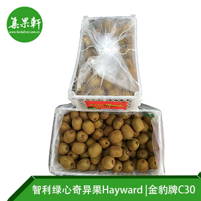 智利进口绿心奇异果Hayward品种 | 金豹牌10公斤C30规格