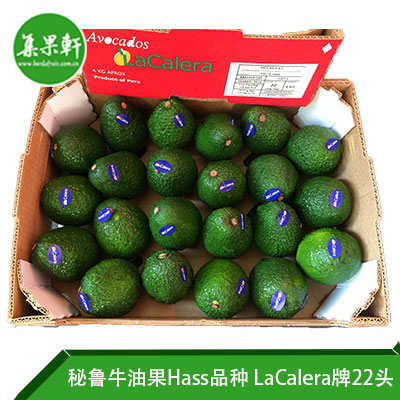 秘鲁进口牛油果Hass品种 | LaCalera牌4公斤22头规格