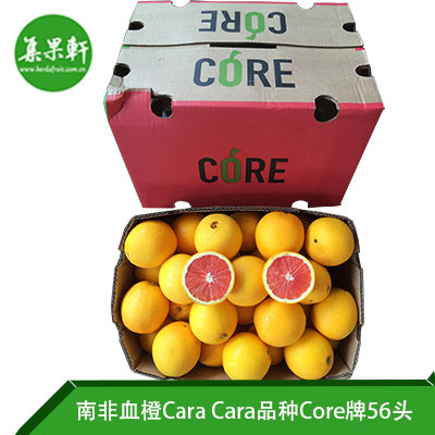 南非CORE血橙56头