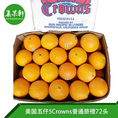 美国五仔5Crowns普通脐橙72头