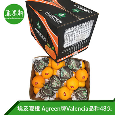 埃及进口夏橙Valencia品种 | Agreen牌15公斤48头规格