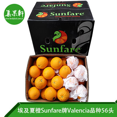 埃及进口夏橙Valencia品种 | Sunfare牌15公斤56头规格