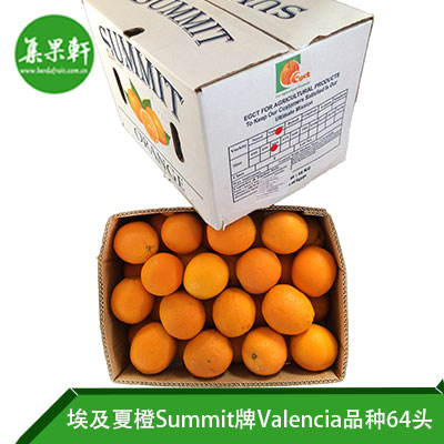 埃及进口夏橙Valencia品种 | Summit牌15公斤64头规格