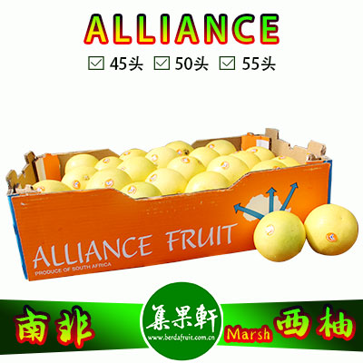 南非白肉西柚Marsh品种ALLIANCE品牌17公斤